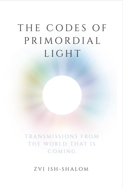 The Codes of Primordial Light cover